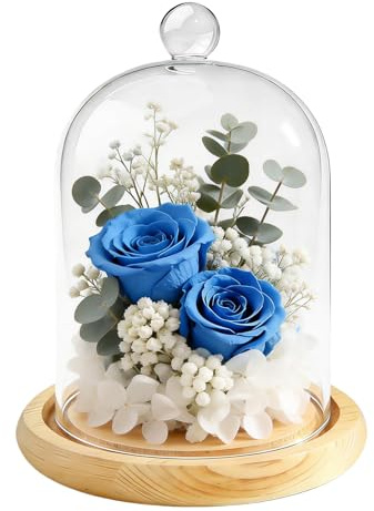 Cupola Di Vetro Con Base in Legno Naturale: Campana in Vetro Con Fondo in Legno, 12 X 18 Cm, Robusta, Decorazione a Cupola in Vetros per Decorazione Rosa, Lampada a Candela E Antiquariato