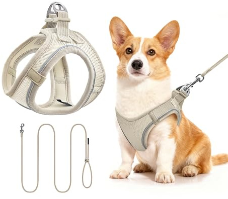 Kattsele och koppel set för katter, små hundar, lättpåtagbar (M, beige)