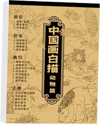 Álbum chino para colorear – 29 x 21 cm libro de trabajo de caligrafía práctica para principiantes, libro de trabajo de escritura de China para estudios de estudios en casa