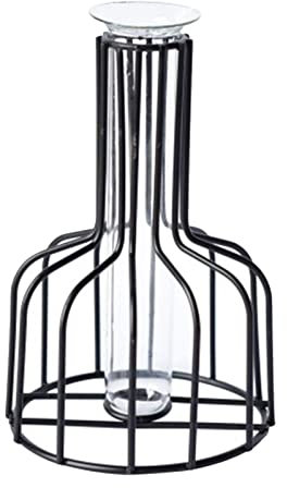 Trockene Blumen transparentes Glas kreative Hydroponik Reagenzglas kleine Vase Wohnzimmer Blumenarrangement Weihnachten für Friedhof (Schwarz, Einheitsgröße)