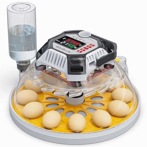 Incubadora automática de 12 huevos con control automático de humedad,Suministro de agua externo, Volteador De Huevos Automático,Contador Diario,BibiBirds Incubadora Huevo Gallina Codornices Pollito.