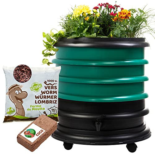 WORMbox | Wormery Worm Farm composter 3 Dark green Trays + Planter + 500gr of Compost Worms / 1000 ctn + 1 Coco | 48 liters | Organic Waste Compost, make your Worm Castings