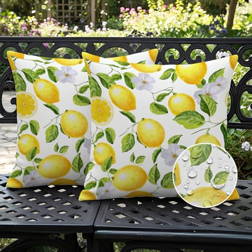 Ardjxue 2 stycken citron kuddfodral 50 x 50 cm dekorativa kuddfodral gul frukt med gröna blad för soffdynor vardagsrum balkong trädgård bil dekoration gul grön vit