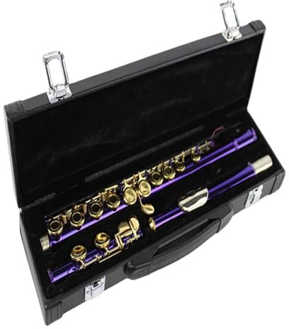 tvärflöjt instrument Musikinstrument flöjt 16 hål C nyckel