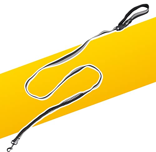PawPride 6in1 Multi-Way 2.5m Dog Lead with Shock Absorbing Bungee Leash Technology, 360 Swivel Hook and Adjustable Handle to Belt for Running, Training and Cycling