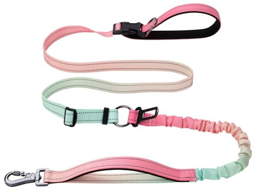 Verstellbare Hundeleine Mit Reflektierenden Streifen - Führleine Und Joggingleine für Große Hunde - Orange Rosa