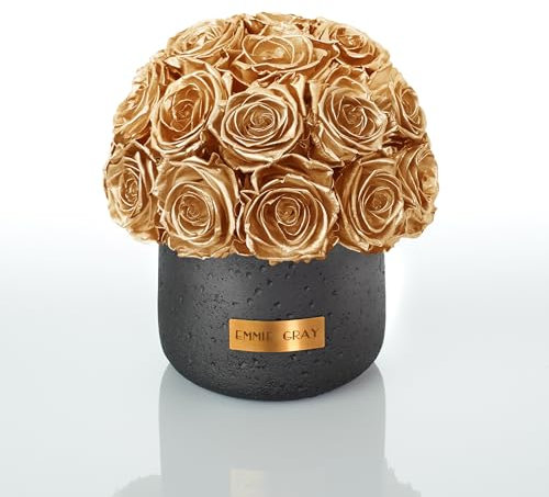 EG EMMIE GRAY Black Solid Infinity Collection – Drömlika Infinity rosor, 1–3 års hållbara rosor, betongvas med äkta, konserverade rosor, ädla premiumrosor – storlek M (guld)
