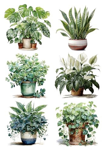 SRIZIAN Décorations murales 3D Plantes Vertes,Autocollants Amovibles de Feuilles Vertes pour la décoration de la Maison,décoration Murale en Papier pour la Chambre à Coucher,Salon