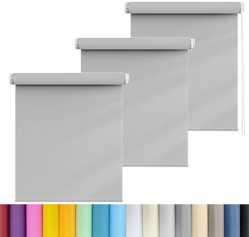 Estores para Ventanas 50 x 150 cm Protección de la intimidad protección Solar Estor Enrollable Screen con Cadena a Juego, para Ventanas y Puertas de balcón, Gris Claro