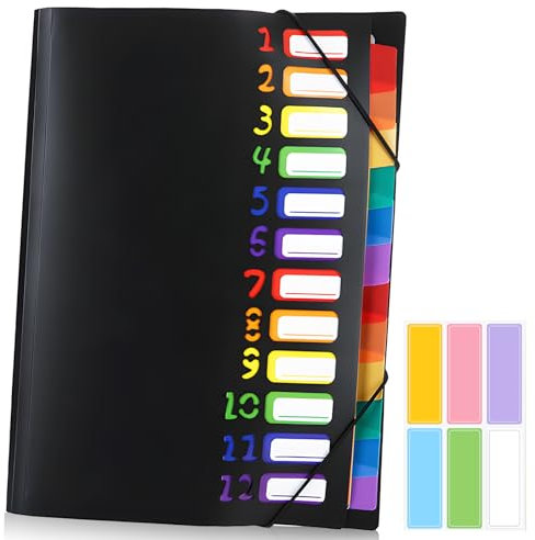 Dokumentenmappe A4, Tragbar Fächermappe mit 12 Fächern, Folder Organizer Ordnungsmappe PP Kunststoff Erweiterbar Ordnungsmappe Pultordner mit Gummizug, Wasserdicht für Schule Bürobedarf (Schwarz)