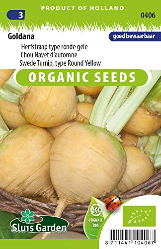 Swede Turnip Goldana (Type Round Yellow) Vegetable Seeds per gram - Organically Grown Seeds per gram - 2 g - Seeds per gram: +/-900