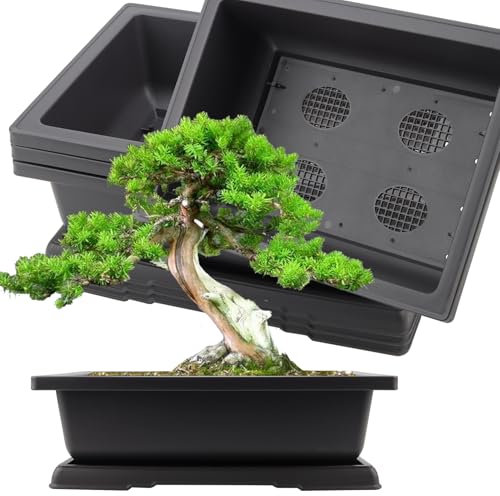 KINJOEK 3 PCS 14 Inch Plastic Bonsai Pots, Large Bonsai Training Pot with Drainage Trays, Rectangular Plant Bonsai Tree Pots for Garden, Indoor, Home Decorative