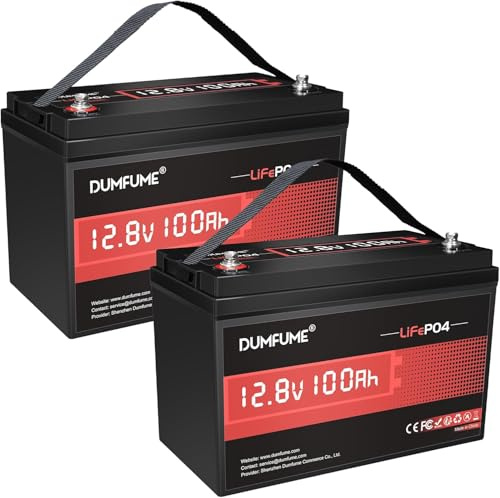 Dumfume 2 Pack 12V 100Ah LiFePO4 Lithium Batterie mit 100A BMS, 15000 Zyklen Deep Cycle Lithium Akku 1.28kWh Hohe Energiedichte Ideal für Solar Wohnmobile und Off-Grid Anwendungen
