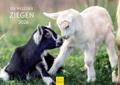 Edition Seidel Calendario premium El mundo de las cabras 2026, formato DIN A4, calendario de pared, calendario de animales, animales domésticos, cabra, cabra, cabra, caballo, prados, pastos, montañas