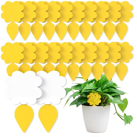 Wyewye 20 PCS Fruit Fly Traps, Double-sided Sticky Catcher for Fungus Gnats & Multiple Insects, Eco-Friendly Indoor Plant Fly Control to Protect Fruits & Vegetables