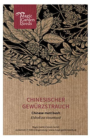 Menthe en arbre (Elsholtzia stauntonii) env. 200 semences