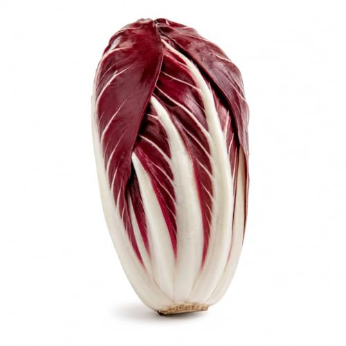 Radicchio di Treviso Precoce 1000 Semi – Semi cicoria da Orto Professionali, Varietà Rossa Croccante dal Gusto Tipico, Ideale per Coltivazione Autunnale, Orto, Giardino e Vaso