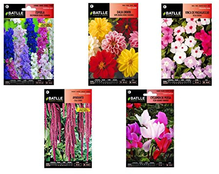 Semillas flores lote de 5 sobres (Espuela, Dalia doble, Vinca, Amaranto y Cyclamen)