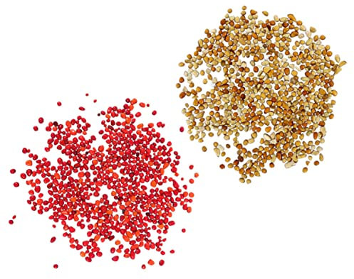 BESPORTBLE Lot De 2 Galets pour Aquarium Décoration Naturelle pour Aquarium Et Terrariums