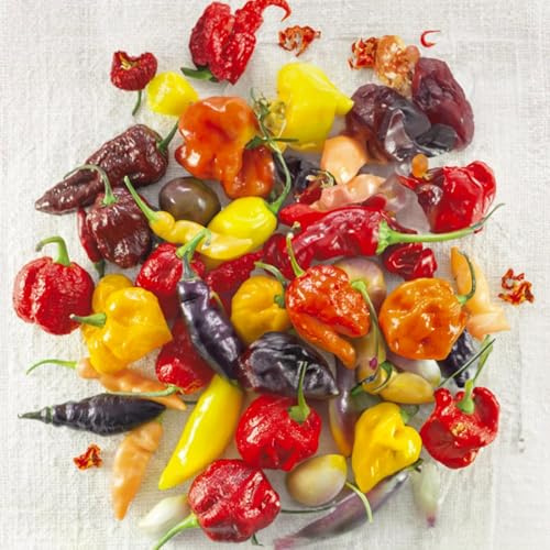 KIT SEMENTI PEPERONCINI | 5 Bustine di SEMI | Jalapeño | Thai Dragon | Habanero Red | Ciliegia Piccante (Bacio di Satana) | Carolina Reaper | Coltiva il “fuoco” in casa!