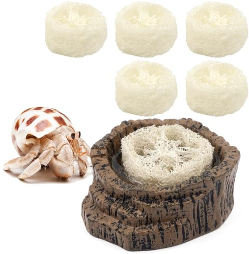 DQITJ Hermite Crab Bol à eau avec 6 luffas Accessoire pour terrarium pour nourrir les insectes | Nourrir les insectes, bol d'eau inclus, utilisation pour terrarium, 6 pièces luffa, habitat pour crabe