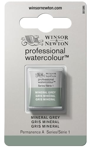 Winsor & Newton 0101427 Professional Watercolour - Mineral Grey, 1/2 skål - akvarellfärg, livfulla färger i konstnärskvalitet, hög färgglans och ljusstyrka, ljusäkta