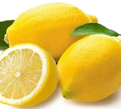 80 graines de citron jaune