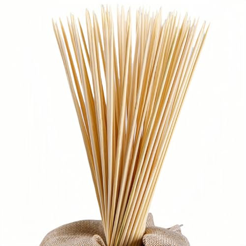 200 Pack Bamboo Wooden BBQ SKEWERS Sticks - Food Grade - Extra Long BBQ Cocktail Barbeque Roasting Sticks Set Marshmallow Chocolate Fountains Kebab Decoration Conkers Fruit 25cm Long