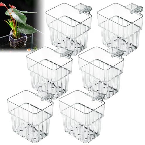 BORDEAG Portapiante Per Acquario,6 Pz Supporto Per Piante D'acquario Con Buchi,Porta Piante per Acquario,Appendere Pianta D'acquario,Supporto Per Piante Da Acquario Per Acquario Accessori