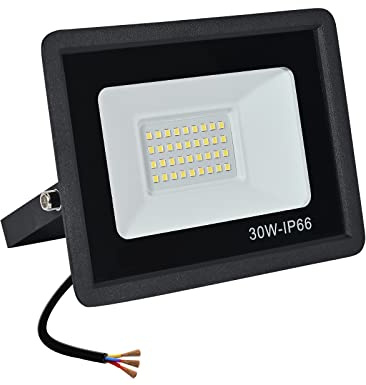 treoir Focos LED Exterior 30W,Proyector LED 3000LM Foco LED,IP66 Impermeable 6000k Foco Proyector Led para Jardín,Garaje,Patio,Almacén,Estacionamiento(30W,Luz fría)