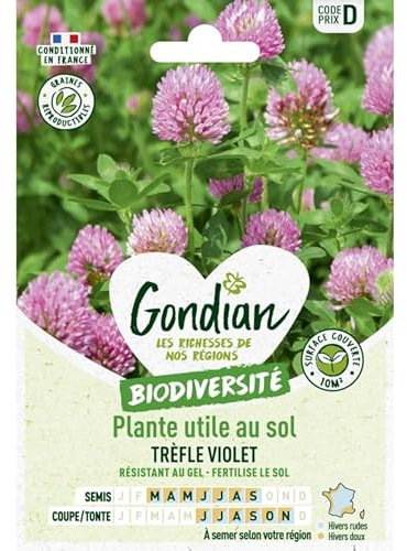 Gondian - Plante utile au sol Trefle violet