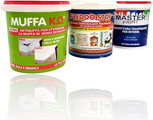 MASTERBRICO Kit Antimuffa per Muri interni con Pittura Bianca - Kit Muffa ko Freddo, Stop Master Paint, Pittura Antimuffa per interni (TANTA MUFFA)