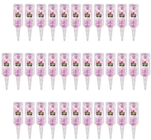 Chrysal Orchideen Vitalkur - 35x 30 ml Gebrauchsfertige Schönheitskur für Orchideen