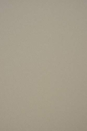 Netuno 100x carton gris Materica Clay 360g A4 210x297mm carton coloré papier cartonnée éco haute qualité pour billets d'entrée hangtags couvertures de livres cartes de visite décoration brochures DIY