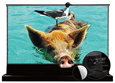 VIVIDSTORM S PRO Motorized Tension Floor Rising UST ALR Projector Screen is Designed for Ultra-Short Throw (UST) Laser TVs, offering a Premium Motorized Projection Experience,VSDSTUST110HP