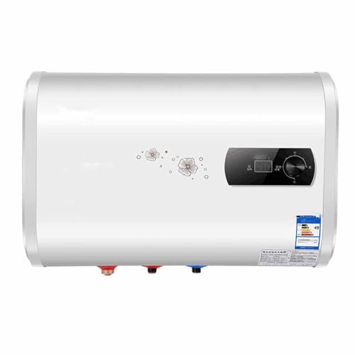 CASEGO Piccolo scaldabagno Elettrico Domestico, Multifunzionale, Semplice da Usare, Grande capacità, Facile da installare, Adatto a Tutte Le Stagioni (B 100L)