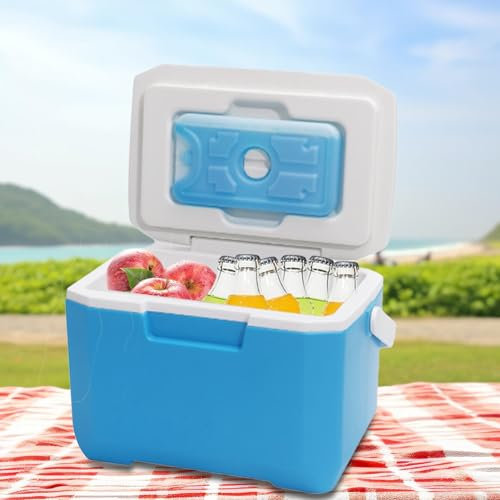 Kühlbox | Kühlbox | Kleine Kühlbox für Essen und Getränke | 6L Tragbare Kühlbox für Picknick | Camping-Kühler | Tragbarer Outdoor-Kühler Auto-Kühlschrank | Hartschalenkühlbox
