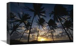 12 x 18 in. Coconut Palm Trees at Sunrise, St Vincent Island, Lesser Antilles Art Print - Gerry Ellis