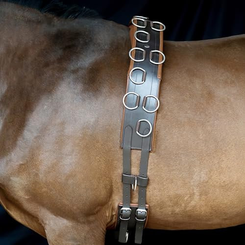 Heinick-Reitsport Qualitäts Leder Longiergurt 20 Ringe Warmblut Vollblut ~ Braun-Chesnut