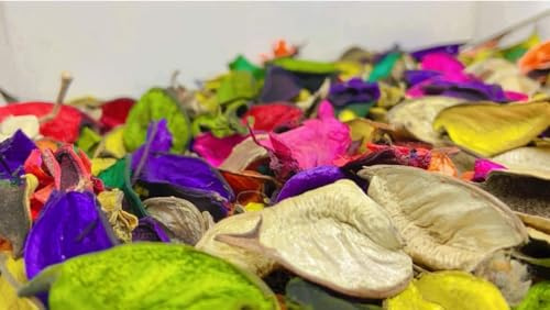 FLFWLASS - Hojas de flores de popurrí (sin fragancia) para decoración del hogar, decoración de hojas secas decorativas, hojas de flores secas (multicolor) (200 gramos)