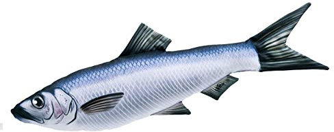 GABY Fish Pillows Clupeiformes (Hering/Sardine) Kissen, Mehrfarbig, Medium