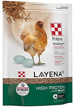 Purina Layena + High Protein Layer Chicken Feed (10 Pound)