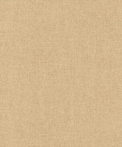 Rasch Tapeter 312171 – unik tapet av fleece i beige från kollektionen Color your life – 10,05 m x 0,53 m (L x B):