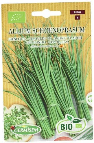 Germisem Orgánica Allium Schoenopasum Semillas de Cebollino 2 g, ECBIO1104
