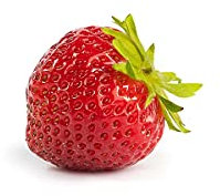 20 Mara des Bois Erdbeerpflanzen (Walderdbeere) - Frigo Pflanzen - Immertragend - Pflanzzeit: März/April - Ernte: Juli bis Oktober - Erdbeeren von Erdbeerprofi.de