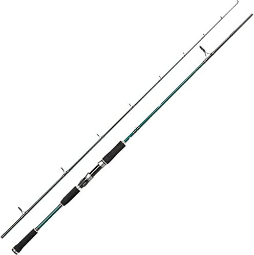 Abu Garcia Beast X Spinnruten, 2.54 m |30-110g