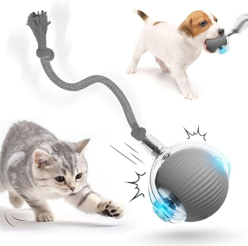 Jouet interactif pour chat, Balle électrique automatique, Jouet pour Chien, Jouet Intelligent pour Chat, Jouets pour Chat À Balle Mobile pour L'intérieur avec Chargement USB pour chiens et chats