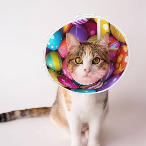 Qewfoju Colorful Easter Eggs 1 Print Cat Cone Collar Cats Neck After Surgery to Stop Licking and Scratch Cone Lightweight Pet Head Cones for Cats