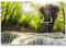Paul Sinus Art Leinwandbilder | Bilder Leinwand 120x80cm Elefant an den Erawan Wasserfällen in Thailand