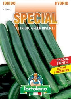 Sementi di ortaggi ibride e selezioni speciali ad uso amatoriale in buste termosaldate (80 varietà) (CETRIOLO GREEN RIVER F1)